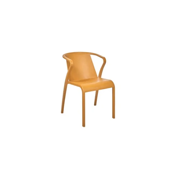 Meilleure affaire ❤️ Fauteuil en Polypropylène Fado Moutarde Ezpeleta ✨ 1